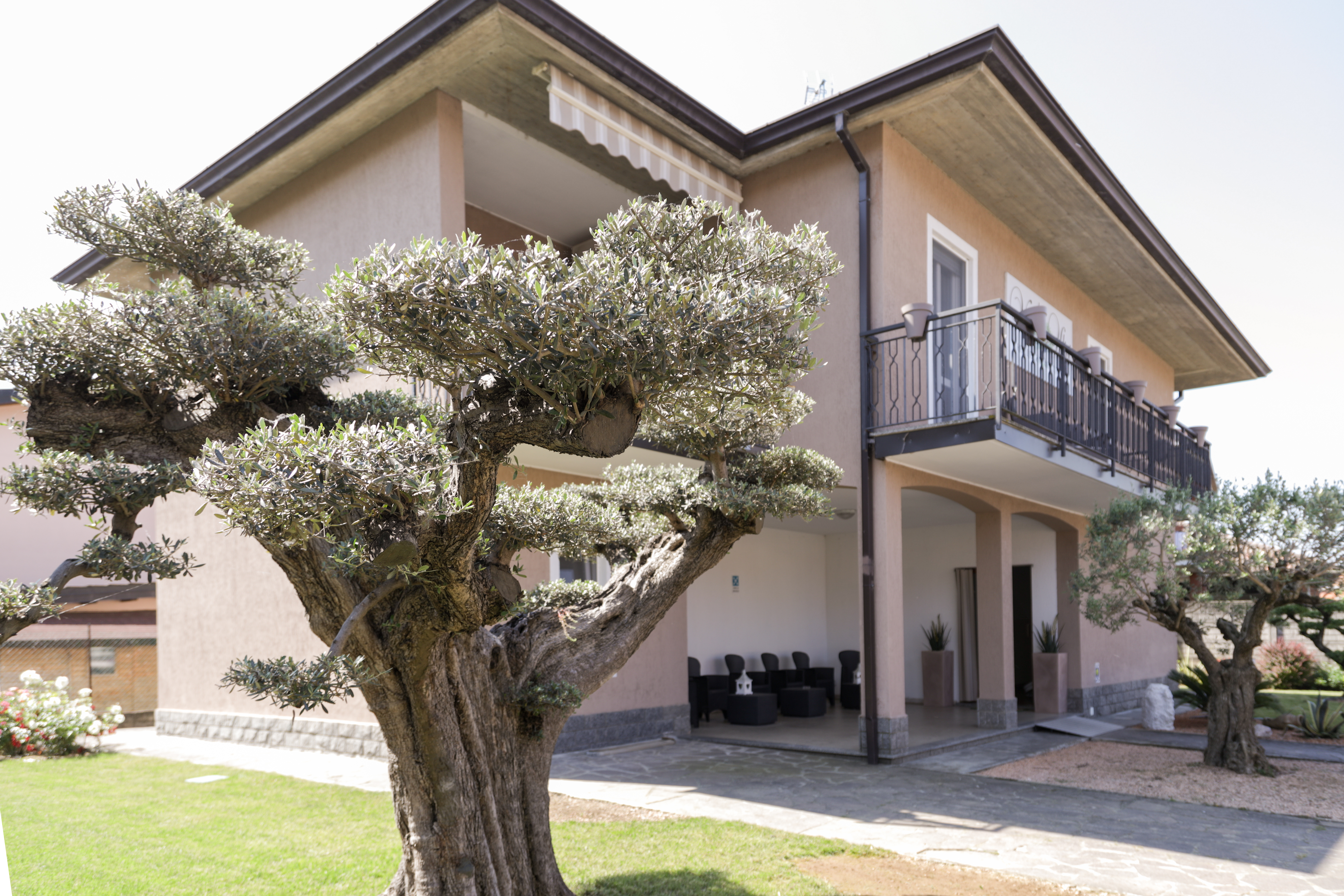 Esterno accogliente di Villa Degli Ulivi