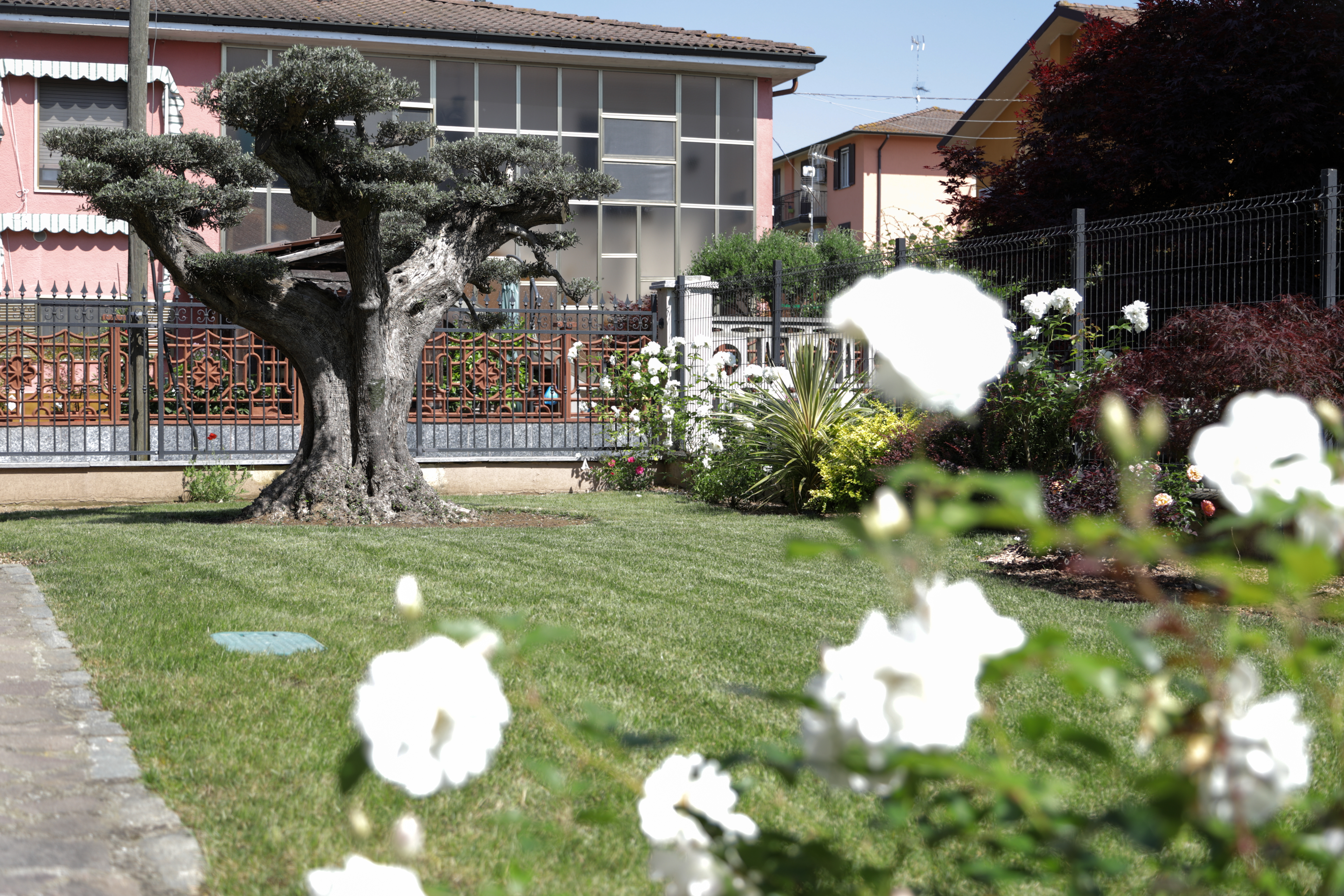 Giardino Perimetrale